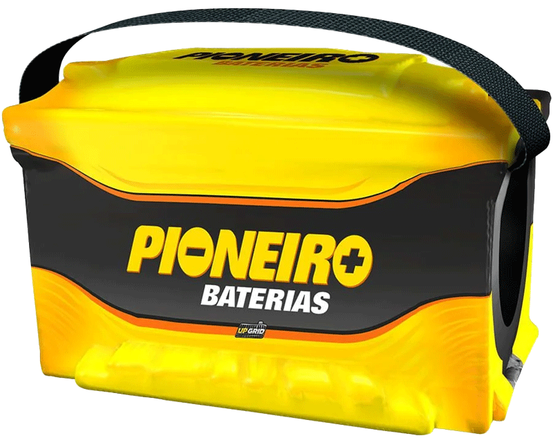Pioneiro F1889-F110E 110AH