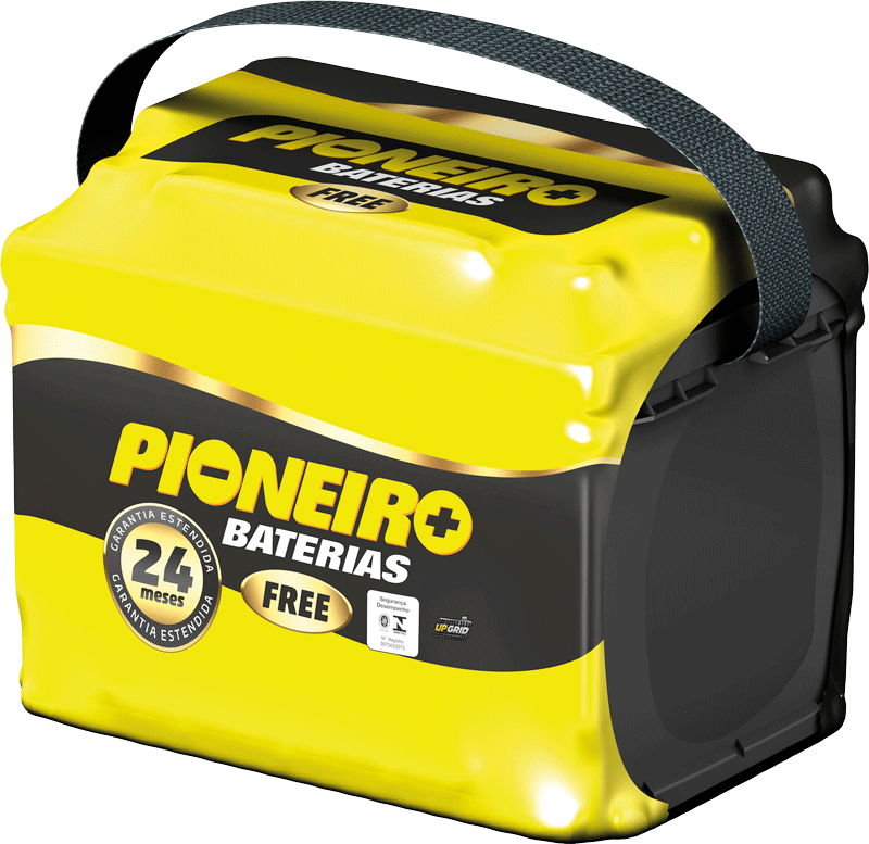 Pioneiro F1893-F52GD 52AH