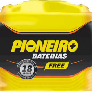 Pioneiro F1898-F42DF 42AH
