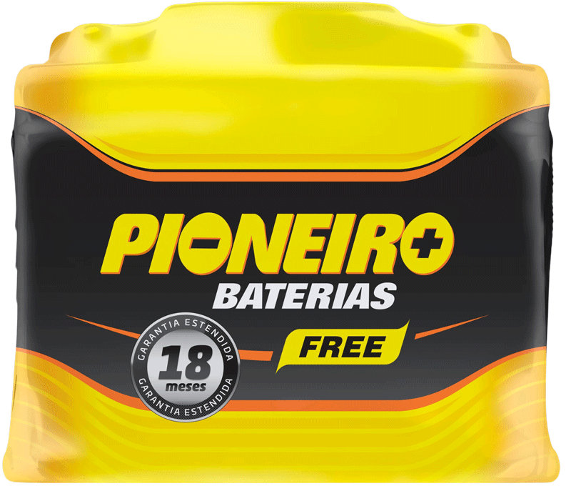 Pioneiro F1898-F42DF 42AH