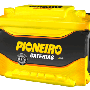 Pioneiro F1905-F90CD 90AH