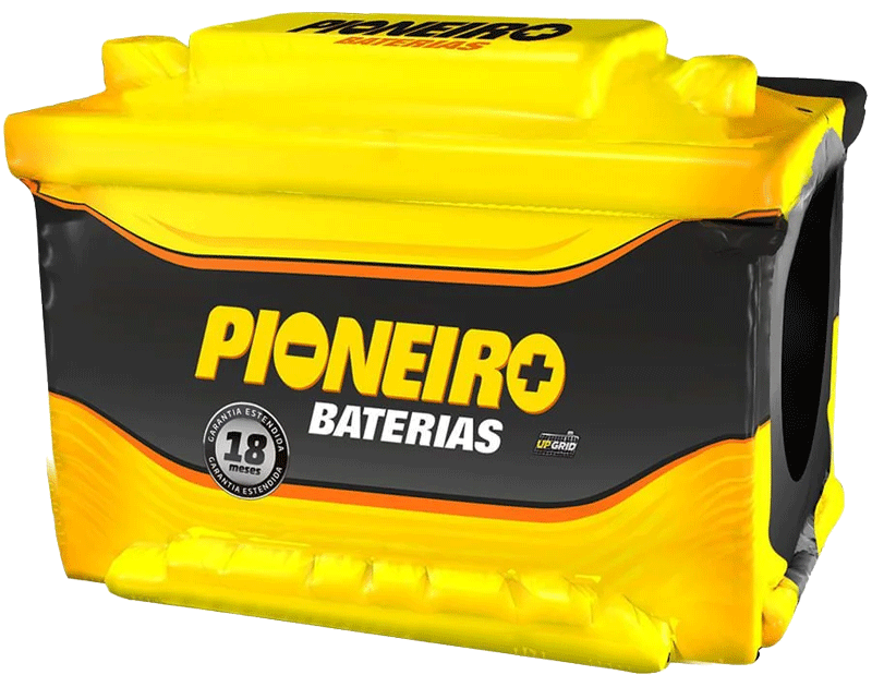 Pioneiro F1906-F90CE 90AH