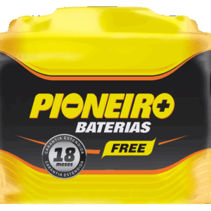 Pioneiro F1907-F42DFB 42AH