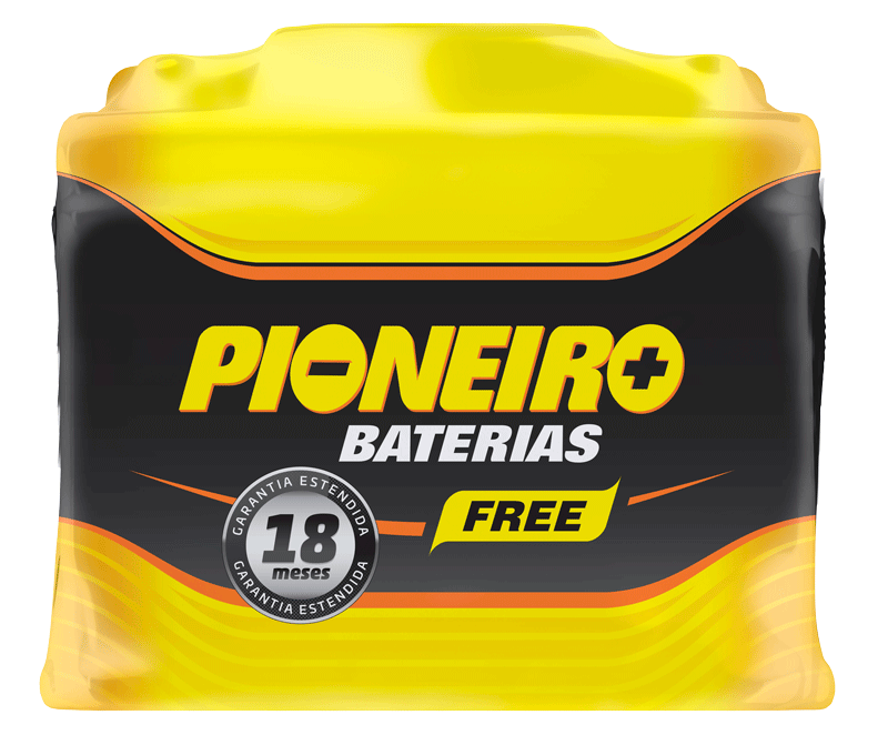 Pioneiro F1907-F42DFB 42AH