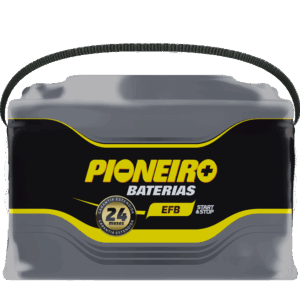 Pioneiro F1916-EFB72D 72AH