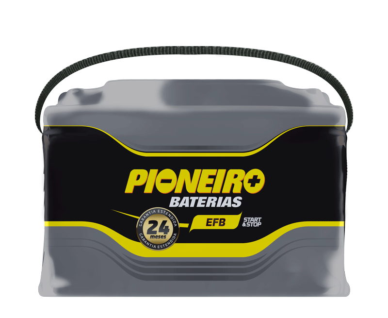 Pioneiro F1916-EFB72D 72AH