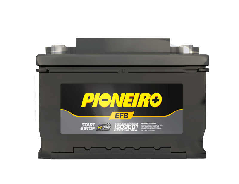 Pioneiro F1917-EFB95D 95AH