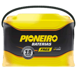 Pioneiro F1923-F75DX 75AH